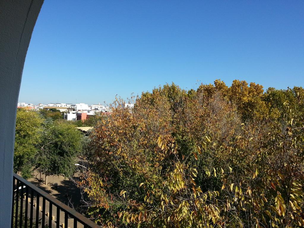 塞维利亚Alameda Gran Vista公寓 客房 照片